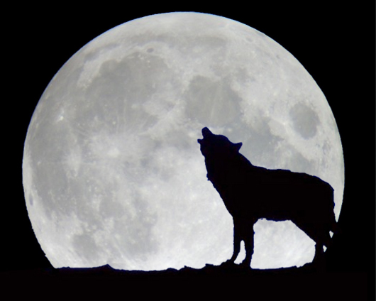 werwolf