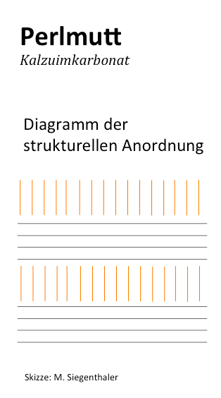 Künstlich hergestelltes Perlmutt (Foto: M. Siegenthaler)